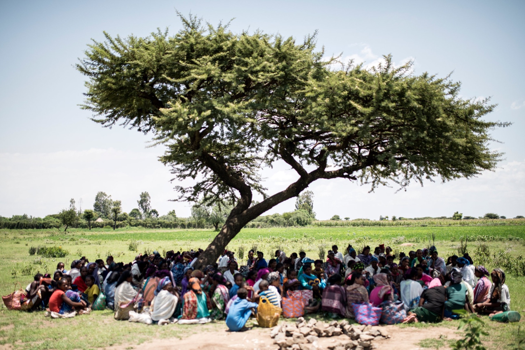 Encuentro de mujeres y familias bajo un gran árbol en una comunidad rural de Etiopía